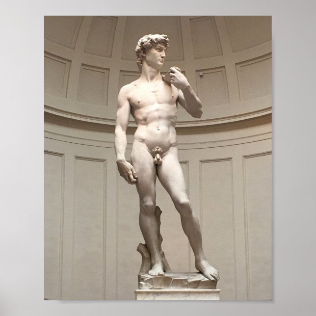 Michelangelo's David Statue Poster (Front)