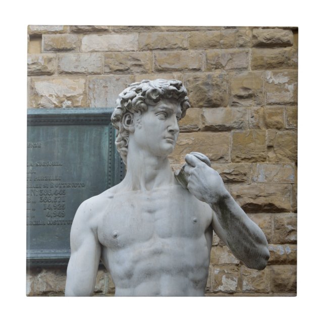 Michelangelo's David Tile (Front)