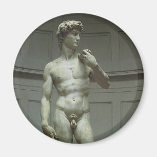 Michelangelo's Statue of David Magnet