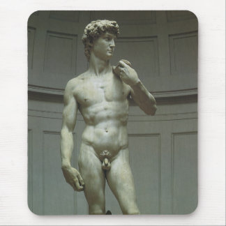Michelangelo's Statue of David Mouse Pad