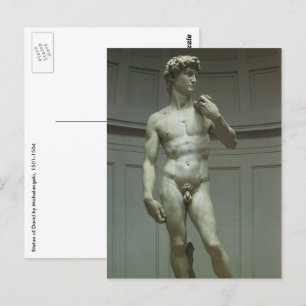 Michelangelo's Statue of David Postcard