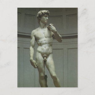 Michelangelo's Statue of David Postcard