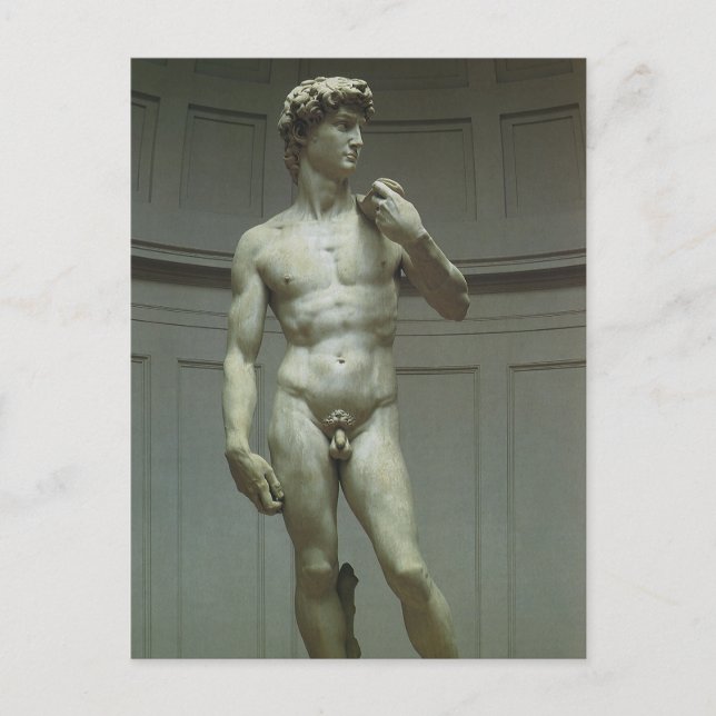 Michelangelo's Statue of David Postcard (Front)