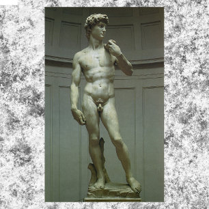Michelangelo's Statue of David Poster