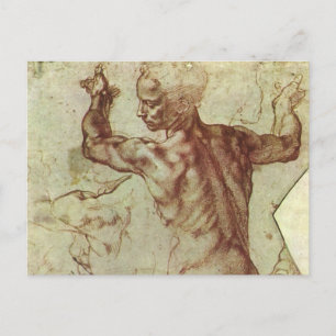 Michelangelo's Study of a Libyan Sibyl Postcard