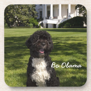 Michele & Bo Obama Coaster