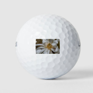 Michelin stars golf balls