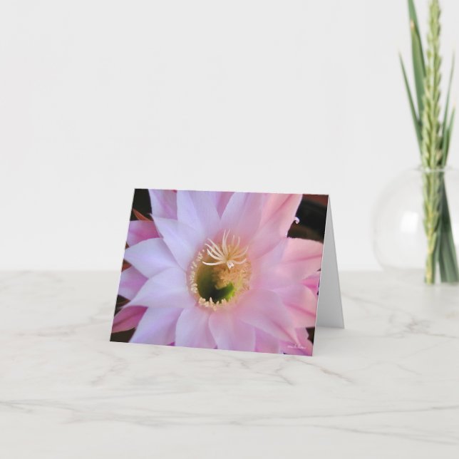 Michelle's cactus flower thank you card (Front)