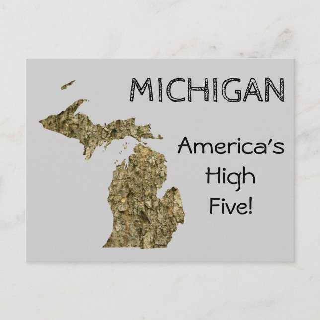Michigan - America's High Five Postcard (Front)