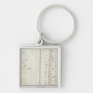 Michigan and Indiana Survey 2 Key Ring