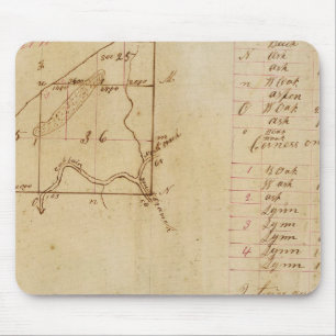 Michigan and Indiana Survey Mouse Pad