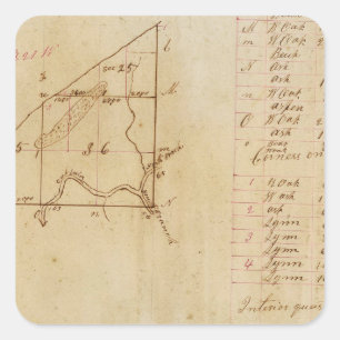 Michigan and Indiana Survey Square Sticker