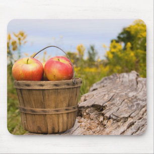 Michigan Apples Mouse Pad