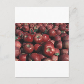 Michigan Apples Postcard