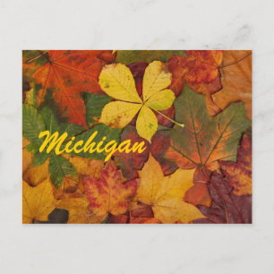 Michigan Autumn Leaves Postcard