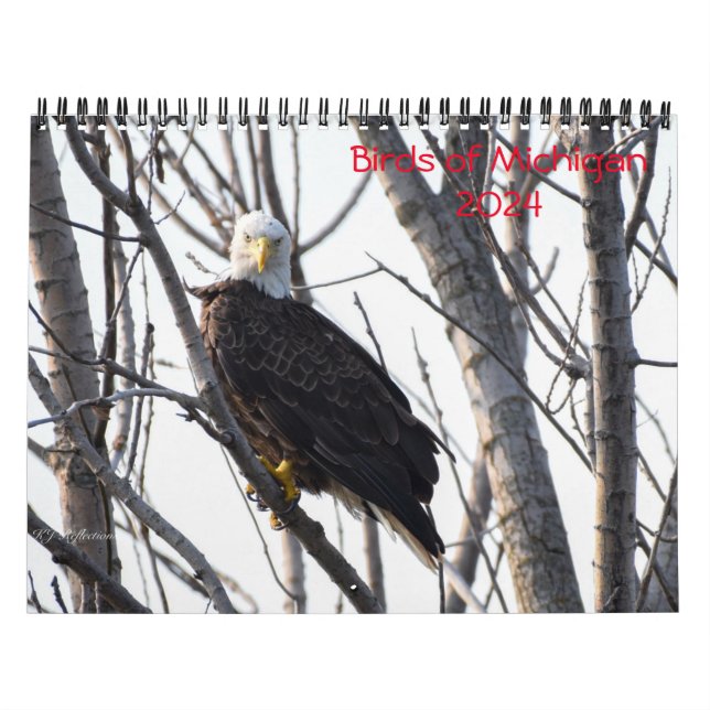 Michigan Birds 2024 Calendar (Cover)