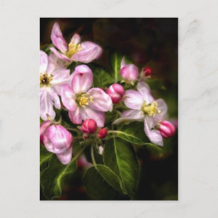 Michigan Blooms Postcard