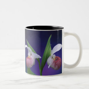 Michigan, Bruce Peninsula National Park. Showy Two-Tone Coffee Mug