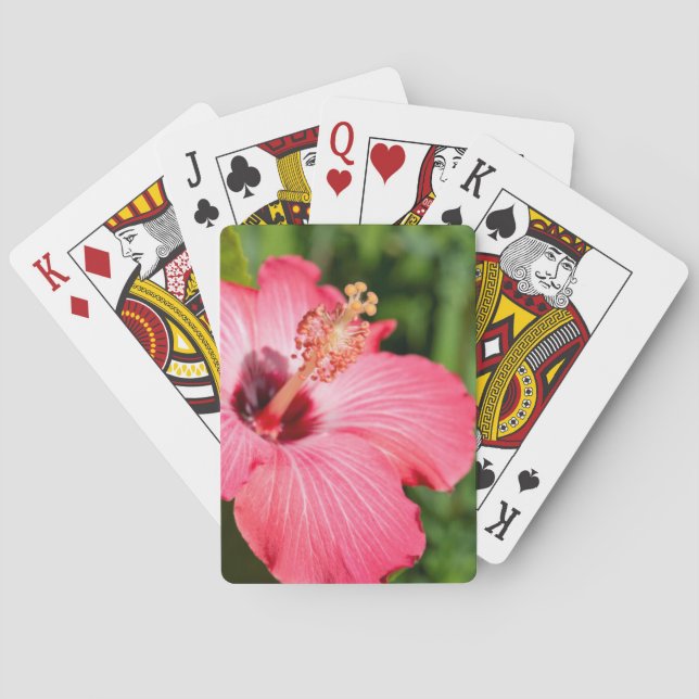 Michigan, Dearborn. Detail Of Pink Hibiscus Playing Cards (Back)