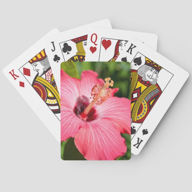 Michigan, Dearborn. Detail Of Pink Hibiscus Playing Cards (Back)