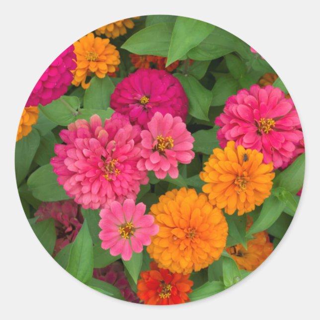 Michigan, Dearborn, Greenfield Village. Close up Classic Round Sticker (Front)