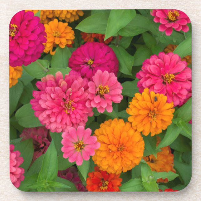 Michigan, Dearborn, Greenfield Village. Close up Coaster (Front)