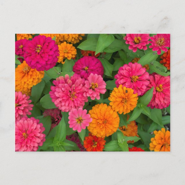 Michigan, Dearborn, Greenfield Village. Close up Postcard (Front)