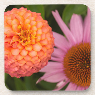Michigan, Dearborn, Greenfield Village. Peach Coaster
