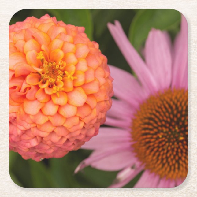 Michigan, Dearborn, Greenfield Village. Peach Square Paper Coaster (Front)