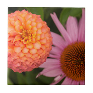 Michigan, Dearborn, Greenfield Village. Peach Tile