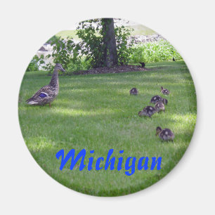 Michigan Ducklings Magnet