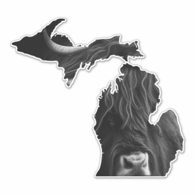 Michigan Highland Cow (Front)