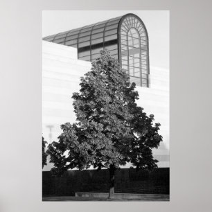 Michigan Library & Historical Centre Poster