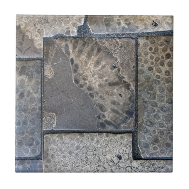 Michigan Petoskey Stone Ceramic Tile (Front)