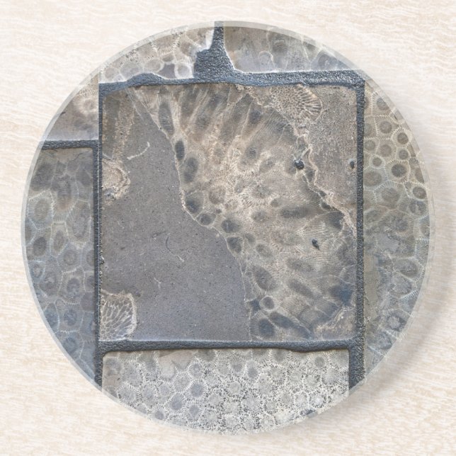 Michigan Petoskey Stone Coaster (Front)