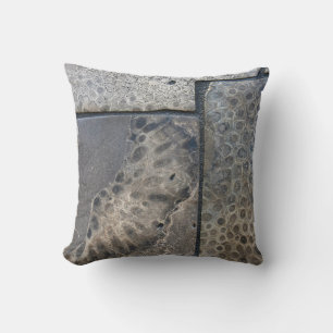 Michigan Petoskey Stone Design  Cushion