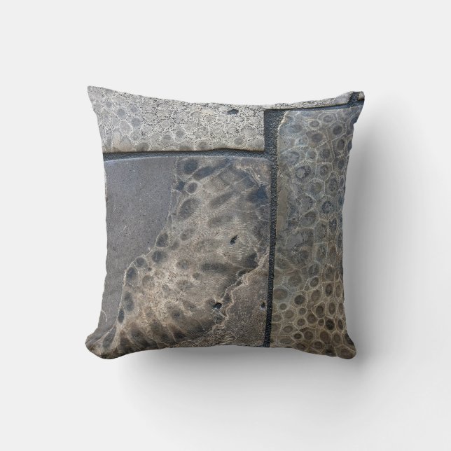 Michigan Petoskey Stone Design  Cushion (Front)