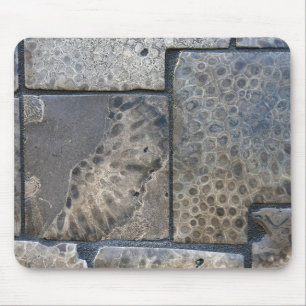 Michigan Petoskey Stone Design Mouse Pad