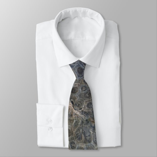 Michigan Petoskey Stone Pattern Tie (Tied)