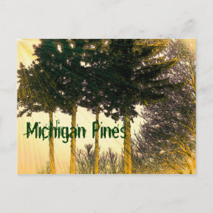Michigan Pines Postcard