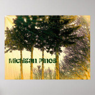 Michigan Pines Poster