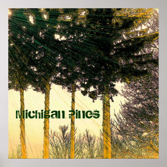 Michigan Pines Poster (Front)