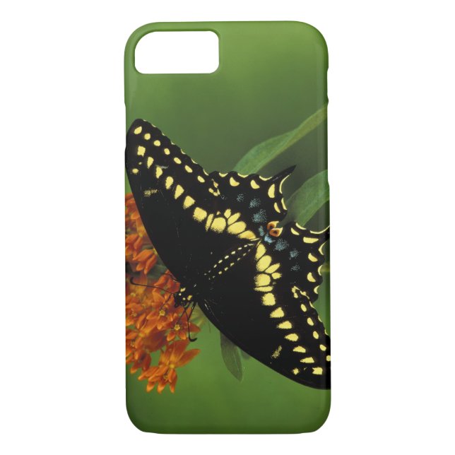 Michigan, Rochester. American Eastern Black Case-Mate iPhone Case (Back)