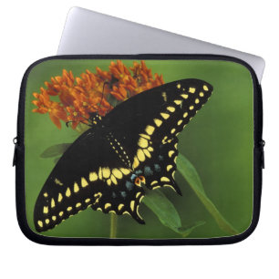 Michigan, Rochester. American Eastern Black Laptop Sleeve