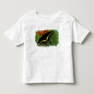 Michigan, Rochester. American Eastern Black Toddler T-Shirt