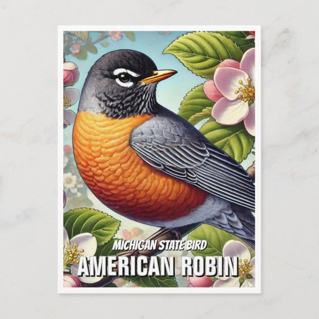 Michigan State Bird American Robin Postcard (Front)
