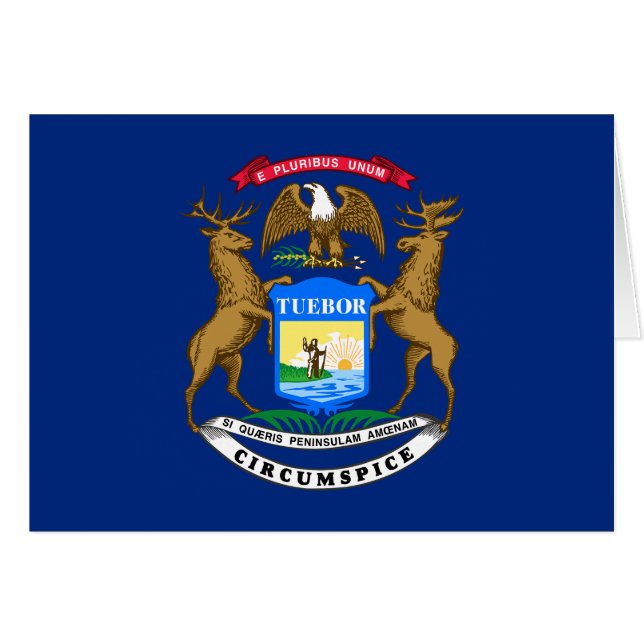 Michigan State Flag (Front Horizontal)