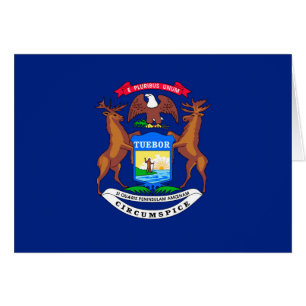 Michigan State Flag Design