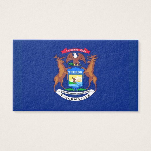 Michigan State Flag Design (Front)