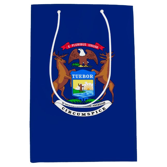Michigan State Flag Design Medium Gift Bag (Front)